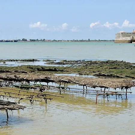 Du Timbre Clion (Charente-Maritime)