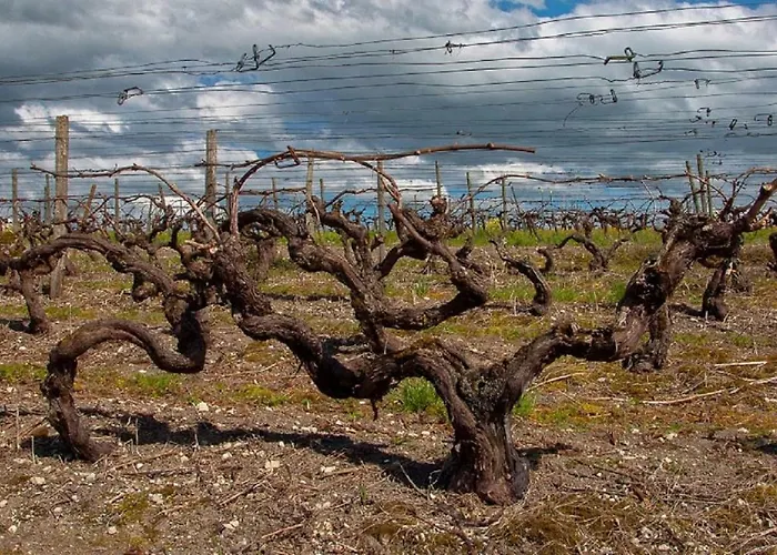 Du Timbre Сasa de vacaciones Clion (Charente-Maritime)