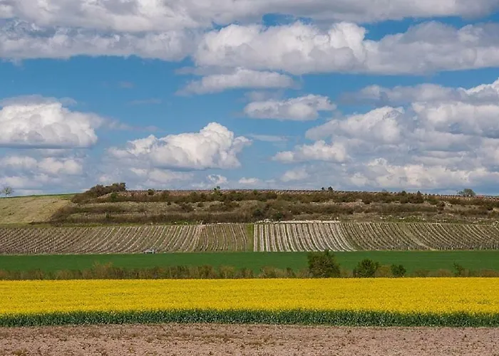 Сasa de vacaciones Du Timbre *