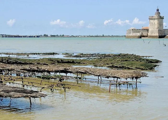 Du Timbre Clion (Charente-Maritime)