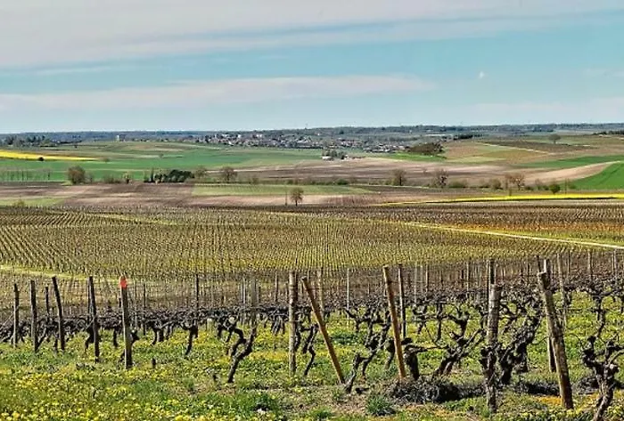 Сasa de vacaciones Du Timbre